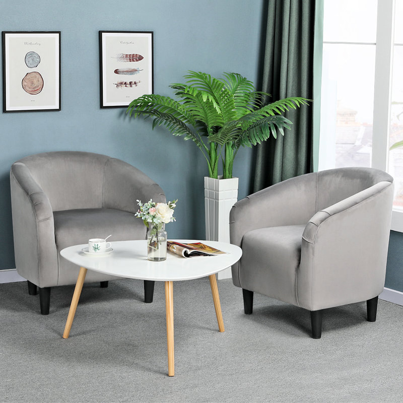 Robeson 28" Wide Velvet Barrel Chair, Gray Velvet