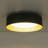 Modern Led Flush Mount 5 CCt Adjustable-1273034019