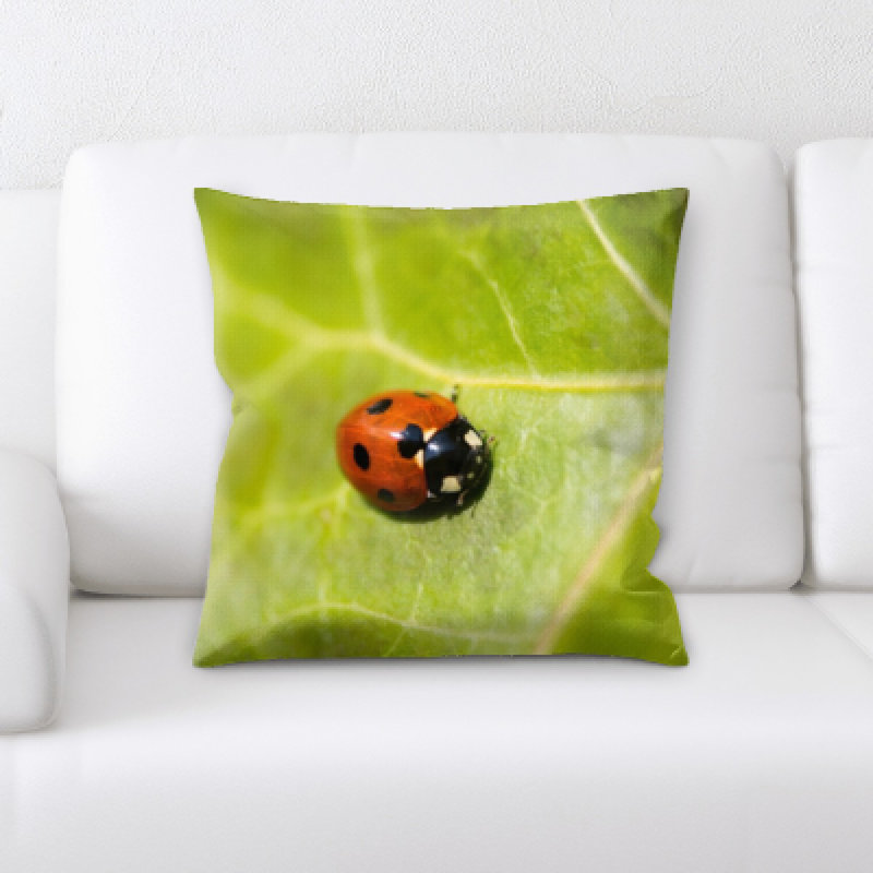 Housse de coussin carré et insert