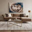 Cats Ragdoll, art mural sur toile grise-1084118675