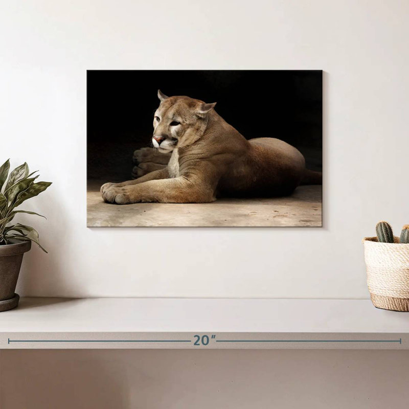 Brampt Lounging Puma, 8" H x 12" W