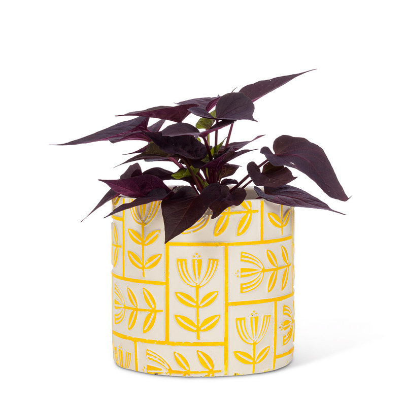 Cache-pot en béton, H 5,5 po x l 5,5 po x P 5,5 po