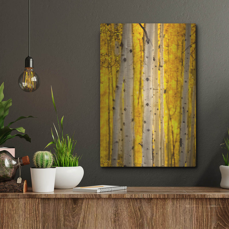 "Aspen Trees" par Jonathan Ross, H 16 po x l 12 po