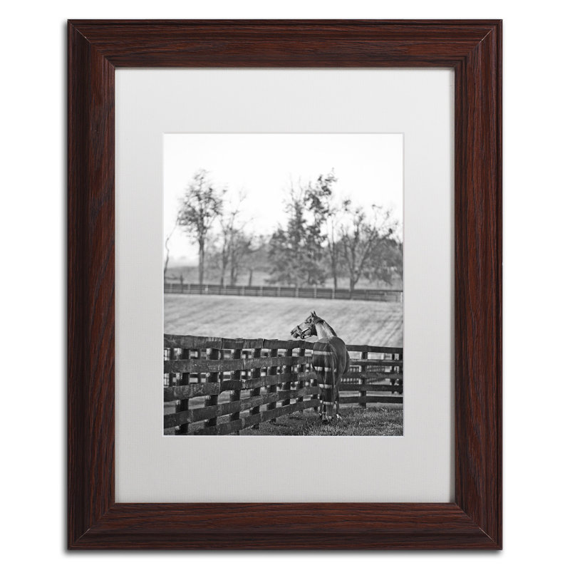 « kentucky cheval de soleil », reproduction de photo sur toile encadrée en noir et blanc, H 14 po x l 11 po x P 0,5 po