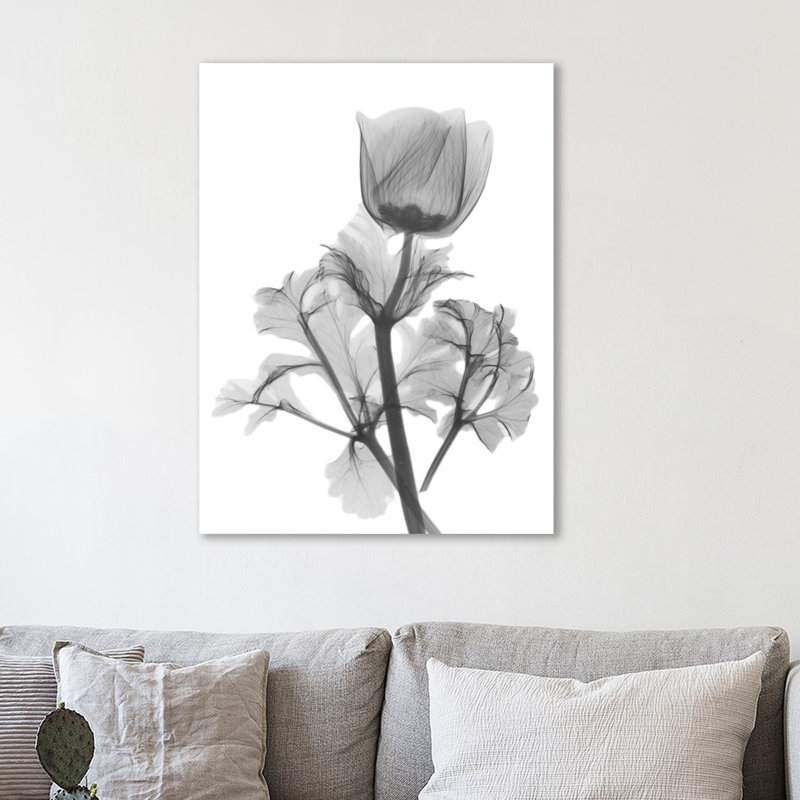 « anemone de décoration », reproduction d’impression sur toile tendue, H 32 po x l 24 po