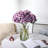 Hydrangea Stem-1158631078