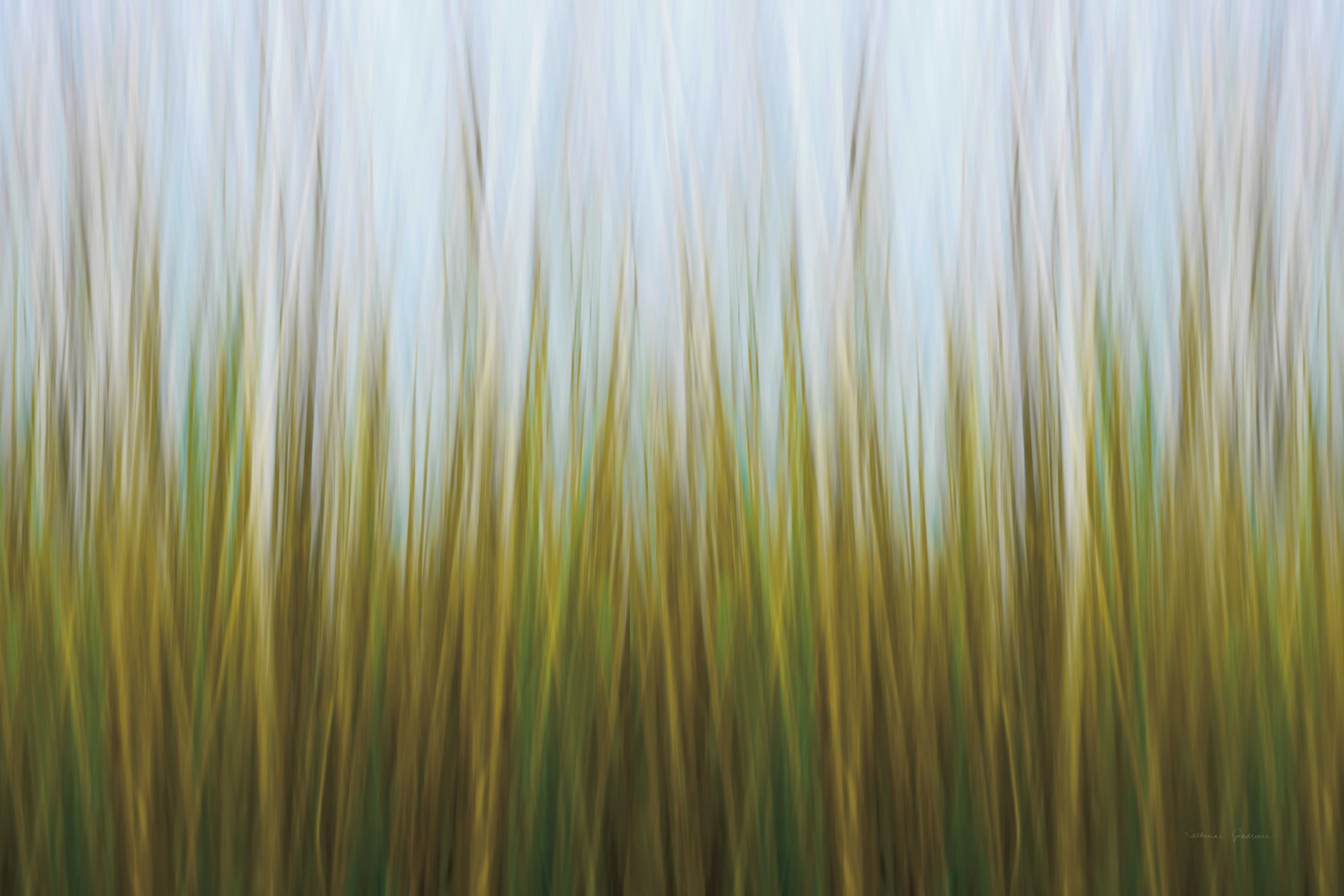 Rosecliff Heights Sea Grass Canvas | Wayfair