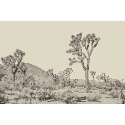 Joshua Tree II neutre
