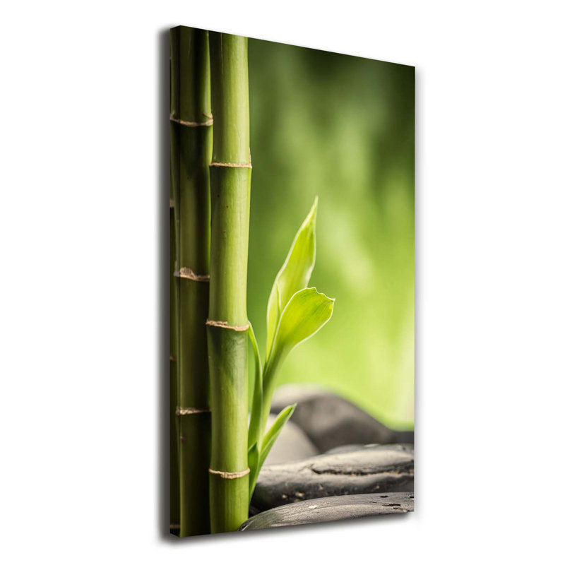 Bamboo - Wrapped Canvas Print