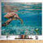 Paysage, grande tortue de mer, photographie sur toile - tortue de mer Hawksbill-34273895-35222391