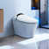 Smart Toilet: Auto Open/Close, Warm Dry, Kick Sensor & Antibacterial Features Foot Sensor Operation