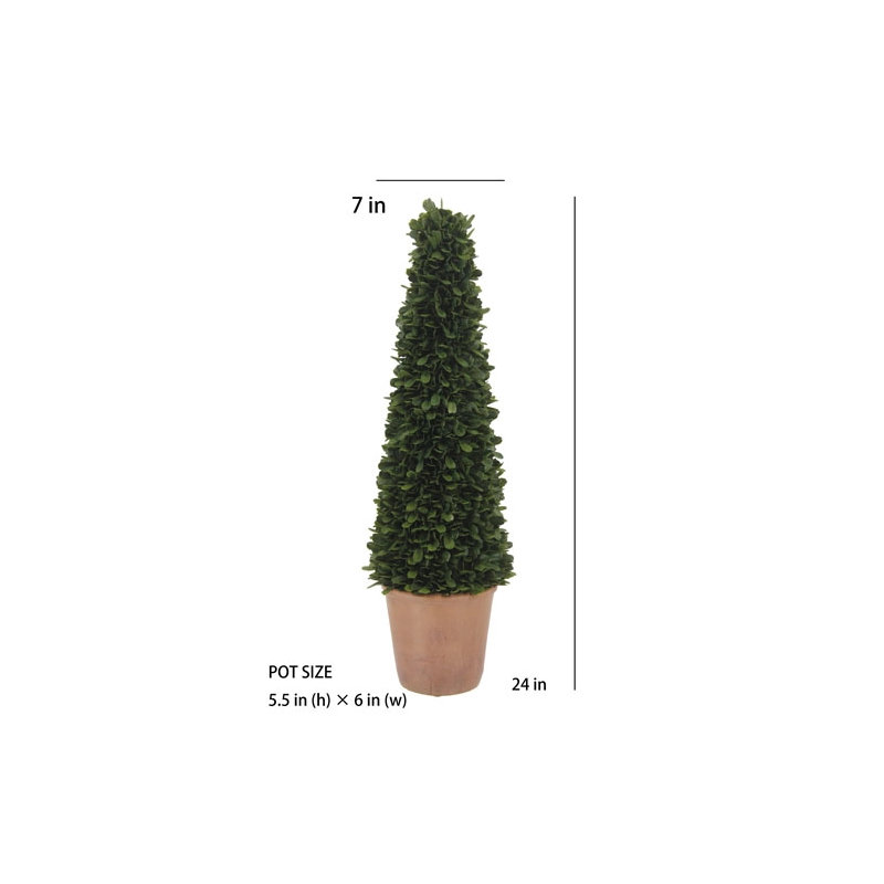 24" Artificial Boxwood Plant in Tapered Pot