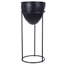 Alfredine Plant Stand-1173792385