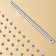 Nabiyy Brushed Gold Shower Head with LED Remote Controller Ceiling Mount 49cm*35cm