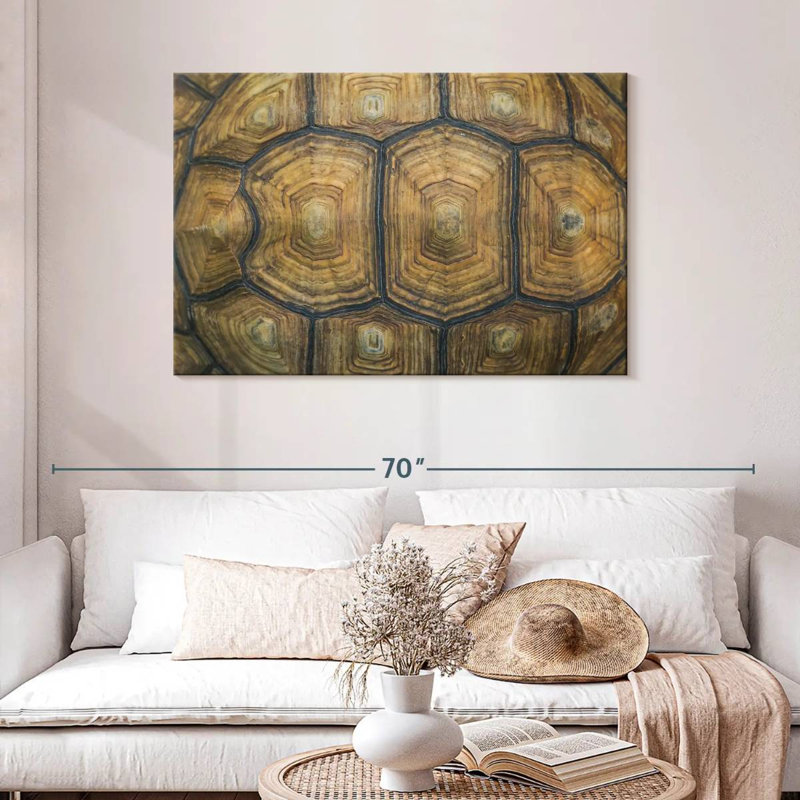 Écaille de tortue Brampt, H 30 po x l 45 po