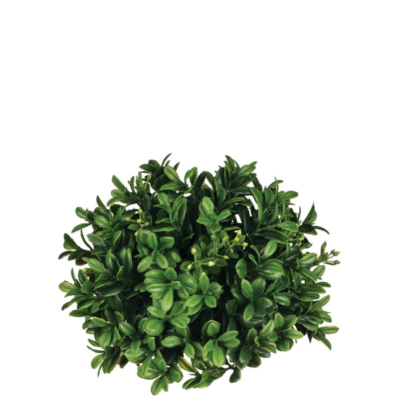 Bourre vase demi-orb buis Tomasello