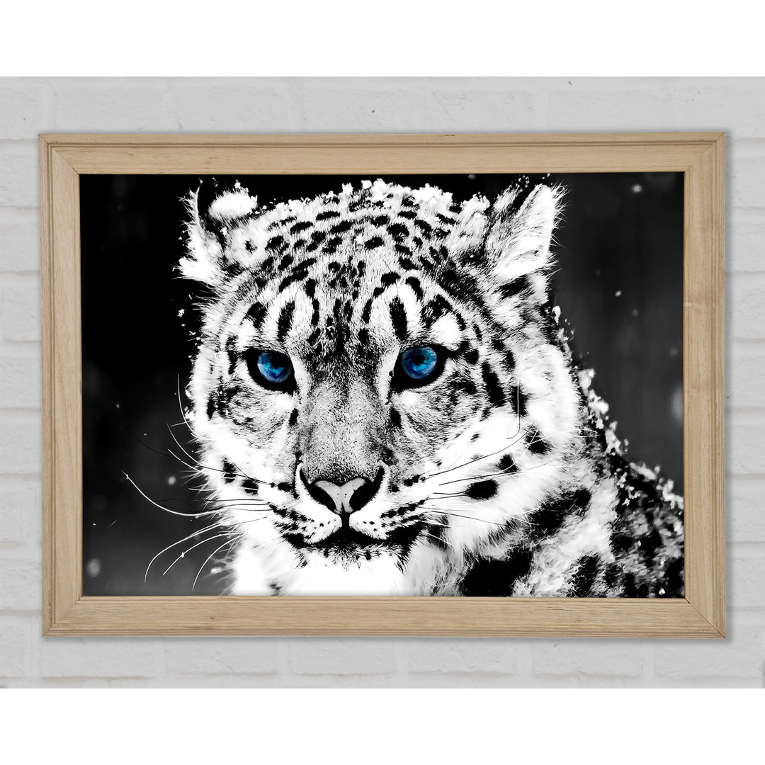 Schnee Blau Auge Leopard - Druck