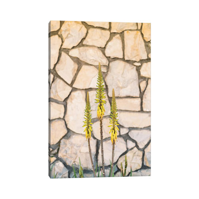 Palm Springs Blooms by Bethany Young - Print on Canvas