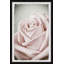 Flower Of Love - Single Picture Frame Painting-1355541284