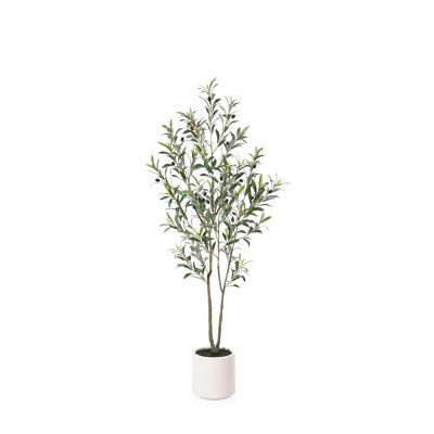 5 ft Artificial Olive Tree in White Planter