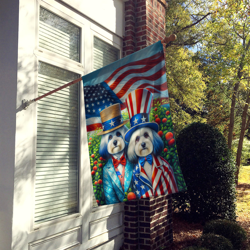 Drapeau «All American House», Bleu clair / rouge / blanc havanais