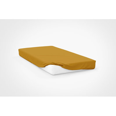 Plain Dye 200 TC Egyptian-Quality Cotton Egyptian Cotton Plain Weave / Muslin Fitted Sheet