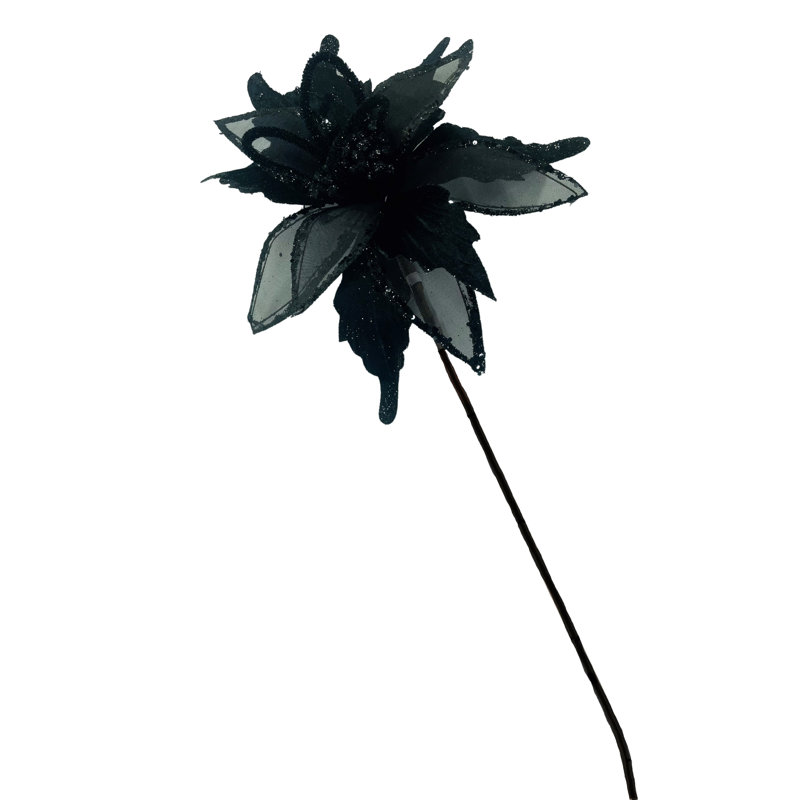 Tige de poinsettia, Noir