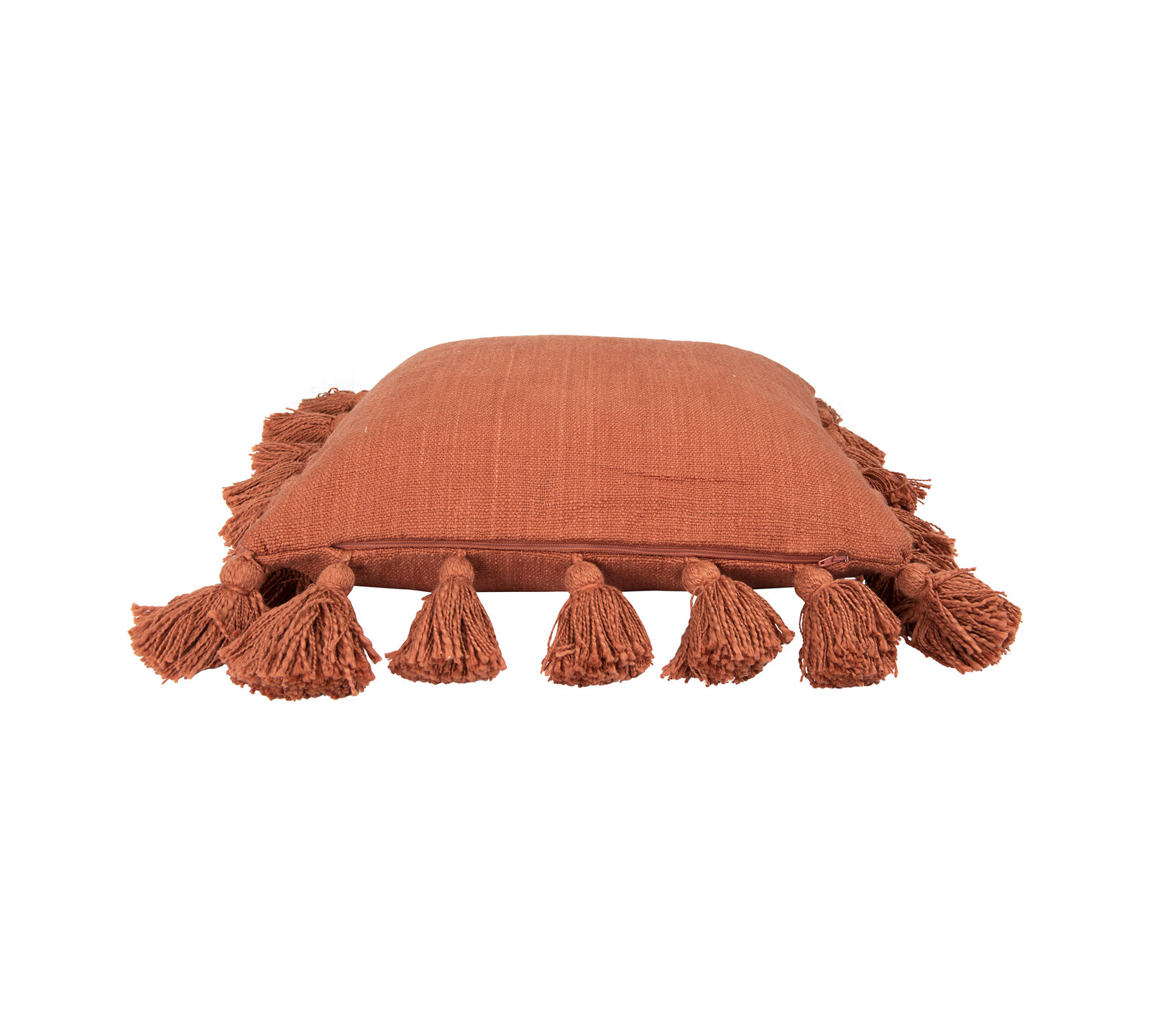 Astraeus 18" x 18" Cotton Throw Pillow, Russet