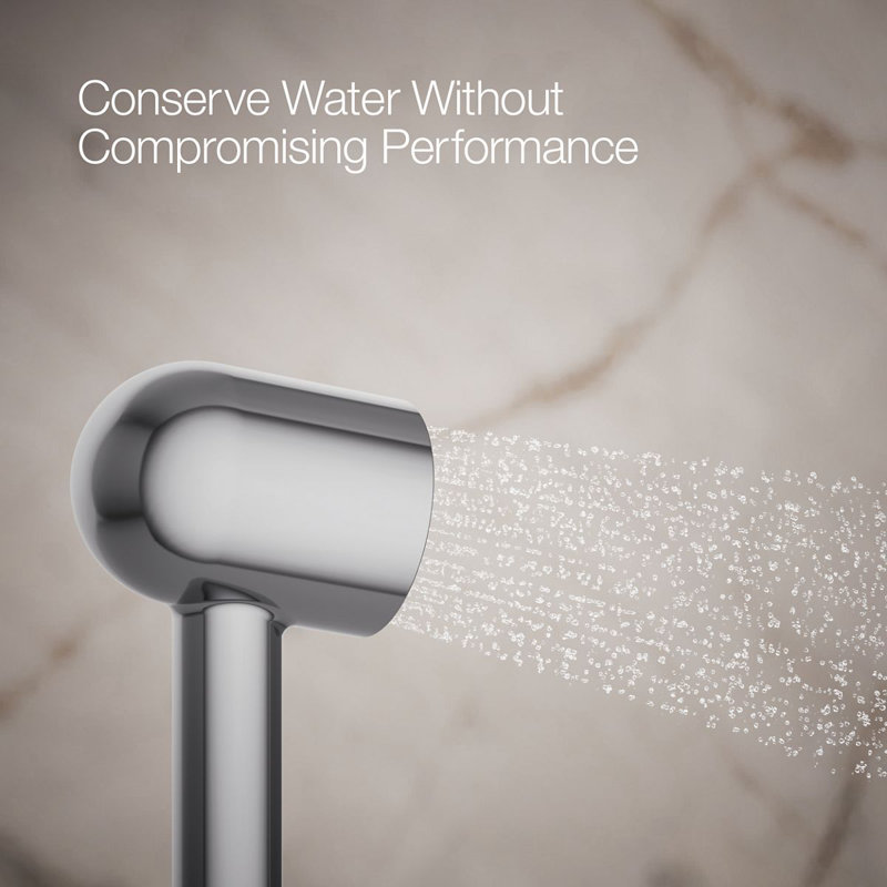 Statement 2.5 GPM Single-Function Iconic Handshower, Polished Chrome
