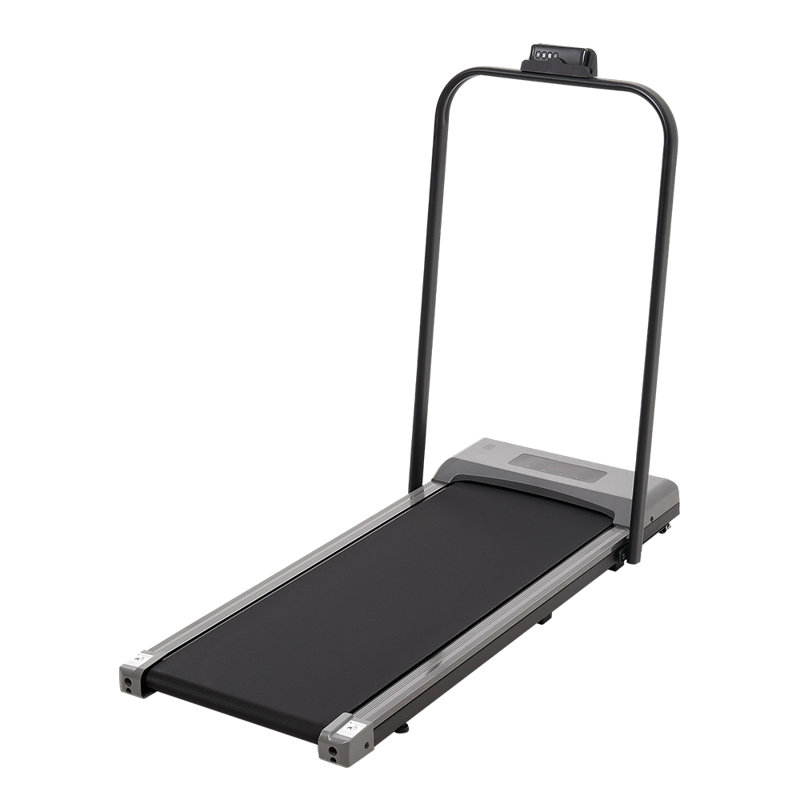 Plastic；Metal Sports Rack