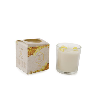Geko Citrus Scented Jar Candle with Glass Holder