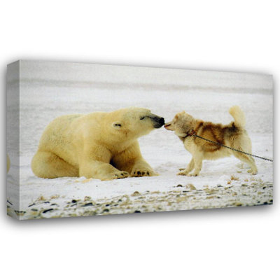 Baiser polaire