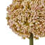 Arrangement-111171288-111171291