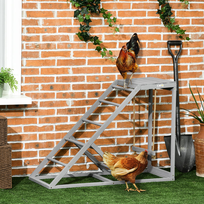 Chicken Play Equipment - Gray With Swing & Coop Delight Multiple Features