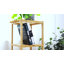 Alezandro Bamboo Freestanding Bathroom Cabinet