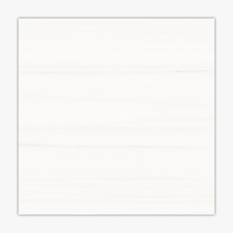 24" x 24" Porcelain Stone Look Wall & Floor Tile, Dolomite Polished
