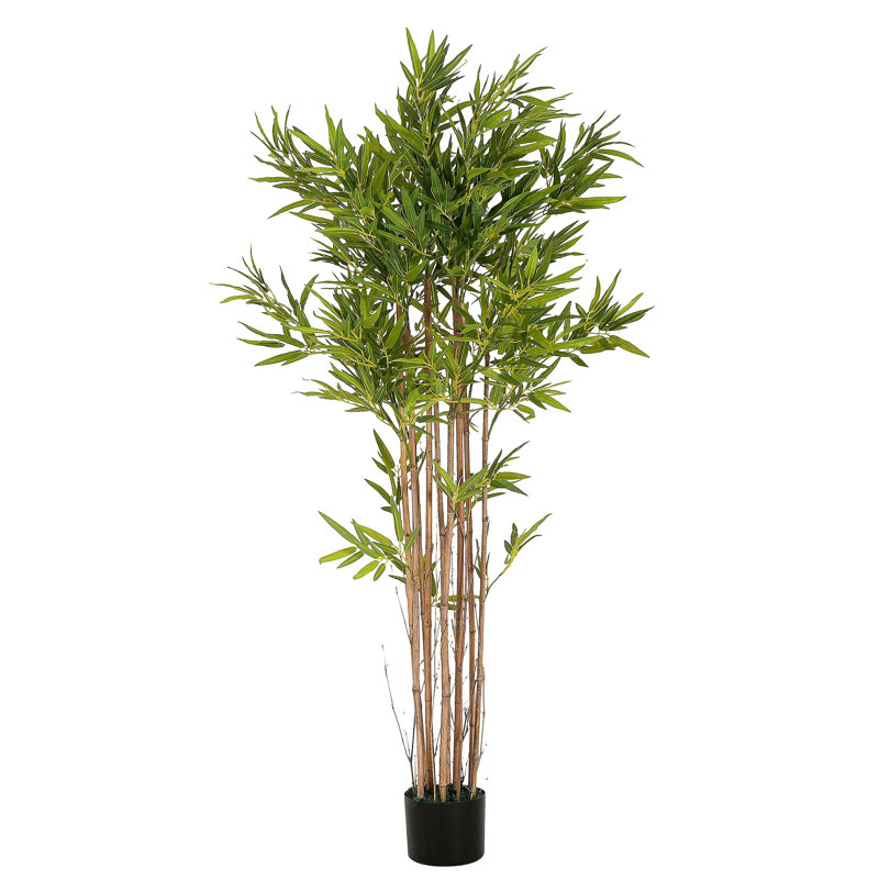 70" Artificial Bamboo with Black Plastic Pot