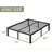 Kyriel 16'' Metal Platform Bed Frame-1039296177