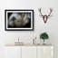 Colourful Elephant in Abstract - Picture Frame Graphic Art Print on MDF-55686107-55686101