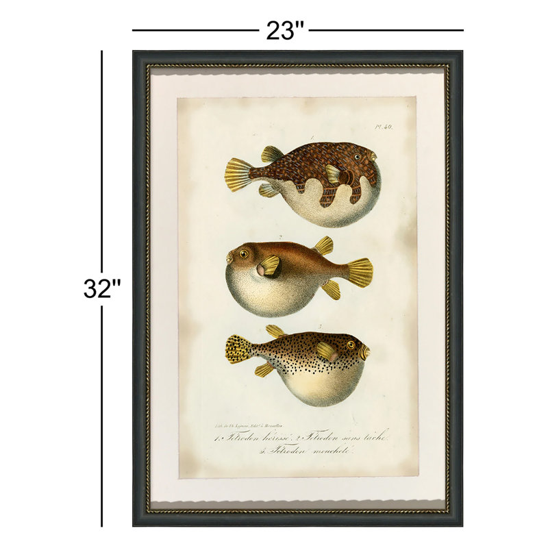 Puffer Fish Print