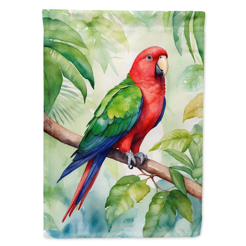 Drapeau de jardin, Grand éclectus