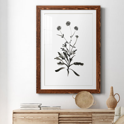 Inky Botanical I - peinture encadrée