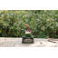  Welcome Sign Gnome Crawling over Tree Trunk Statue