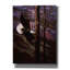 «The Master Of Freedom» par R. Hed, art mural sur toile-1150077505