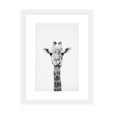 " Giraffe " Black and White Photography Print