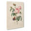Butterfly & Pink Rose by Pierre-Joseph Redoute - Wrapped Canvas-55362518