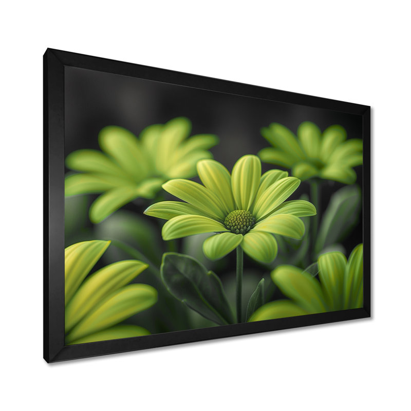 Photo de marguerites monochromes vertes et noires - salon de marguerites murales, Cadre flottant brun, 12" H x 20" W