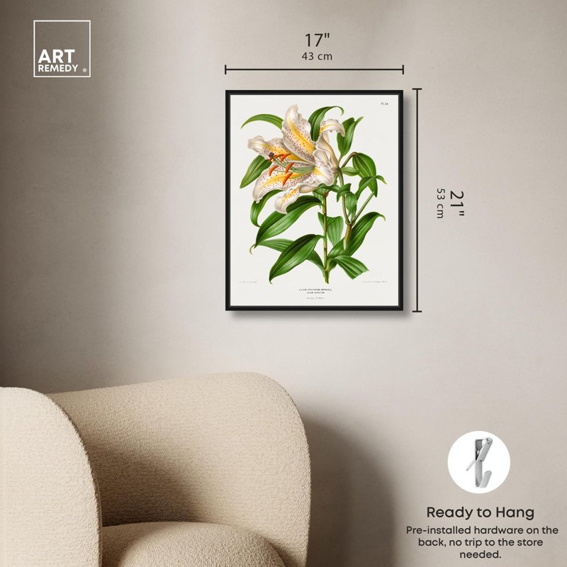 Toile Lilium Speccosum imperiale par Art Remedy, Noir, H 21 po x l 17 po, Cadre flottant
