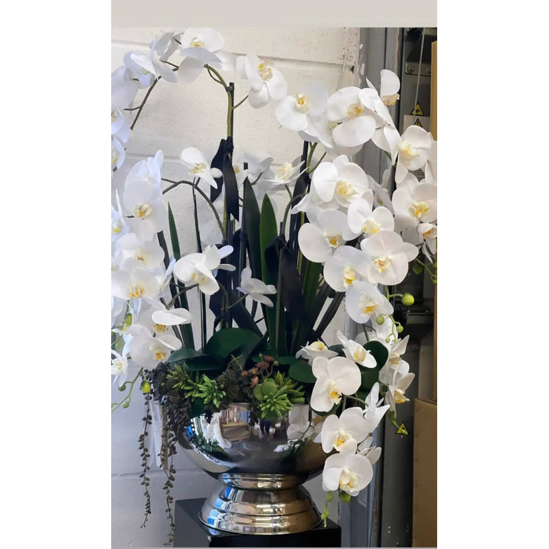 Orchid Arrangement in Vase