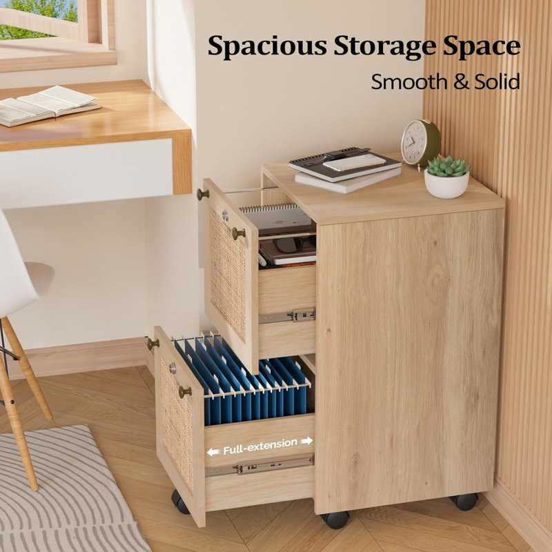 Aristeidis 15.75'' Wide 2 -Drawer Mobile File Cabinet